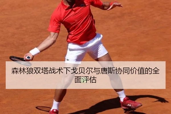 森林狼双塔战术下戈贝尔与唐斯协同价值的全面评估