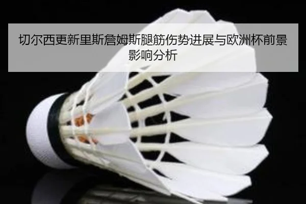 切尔西更新里斯詹姆斯腿筋伤势进展与欧洲杯前景影响分析