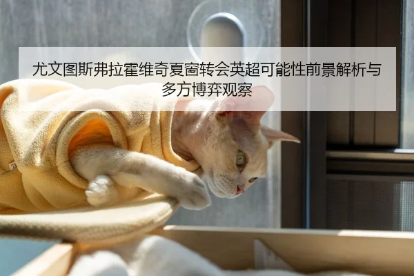 尤文图斯弗拉霍维奇夏窗转会英超可能性前景解析与多方博弈观察