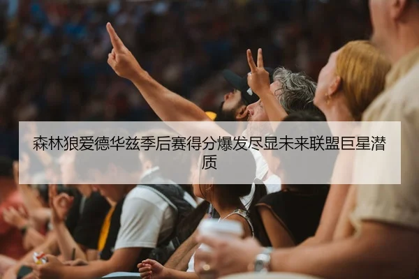 森林狼爱德华兹季后赛得分爆发尽显未来联盟巨星潜质