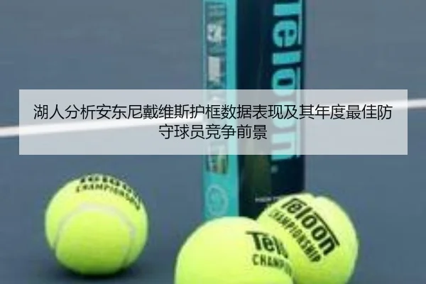 湖人分析安东尼戴维斯护框数据表现及其年度最佳防守球员竞争前景