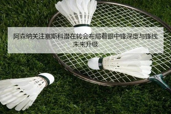 img_1781800964186_1509_1_418.jpg